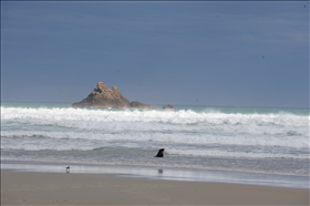 Sandfly Bay